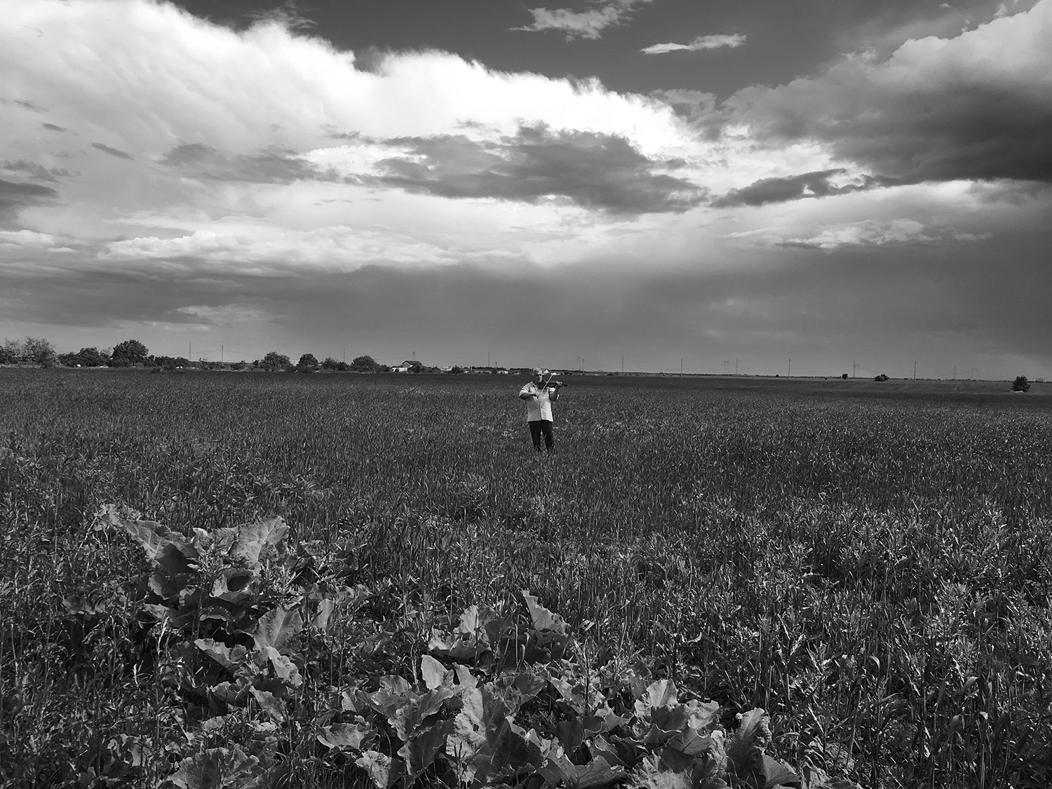 Wide shot, black and white. Gheorghe is alone in the middle of a field, playing his violin.